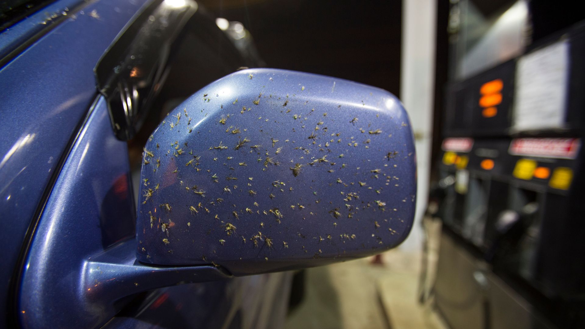 comment nettoyer efficacement les traces d’insectes sur la carrosserie de votre voiture